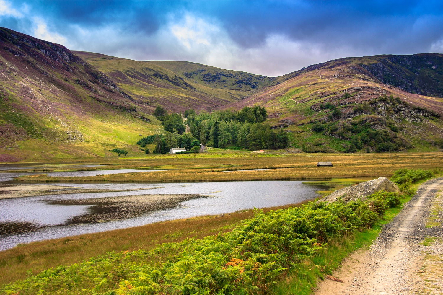 Hiking trail in Cairngorms National Park